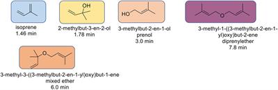 Solvent-Induced Selectivity of Isoprene From Bio-Derived Prenol